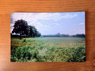 and these two plus the featured photo were all i ever shot that weekend :-)