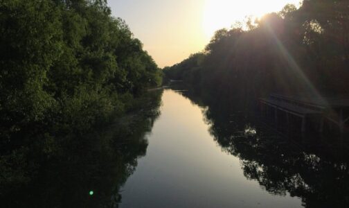 Sasha's backyard on the Danube Delta (Ukraine, May '17)