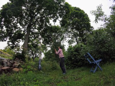 hanging a camping shower bag on a tree in Sweden