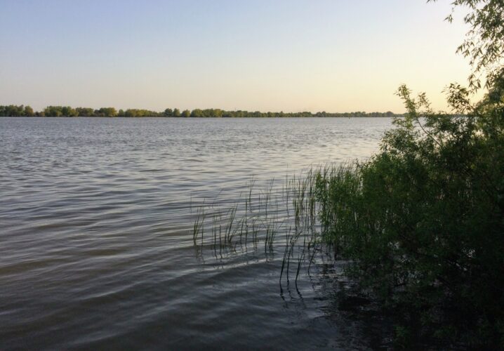 i believe Sasha and Rita would be considered quite poor by Western standards — and yet this is their backyard