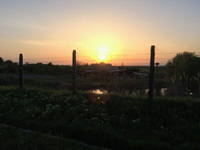 Rita also gave me a thorough tour of the premises