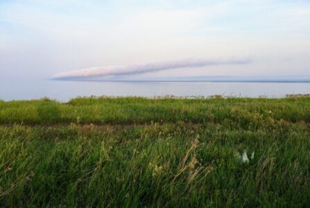 a cloud i sat and observed develop for quite a while that evening