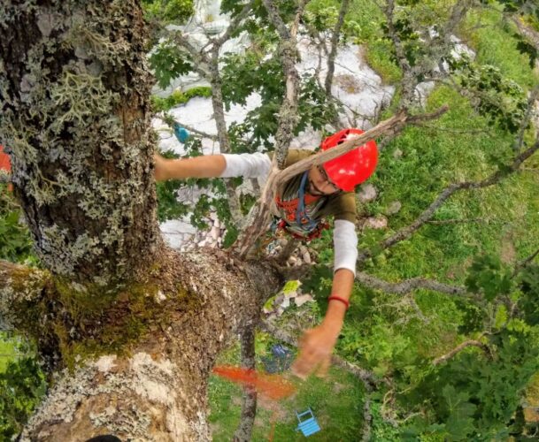 advancing my anchor point (Sweden, Summer '17)