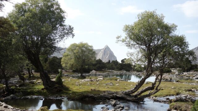 Nature paradise in the Fann Mountains (Tajikistan)