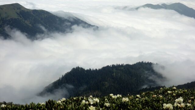 Spring in Lesser Caucasus