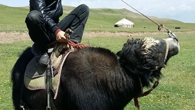 Meeting locals in the Kyrgyz steppe