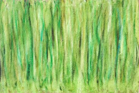 i’ve been experimenting with soft pastels and different kinds of paper for a little over a month now